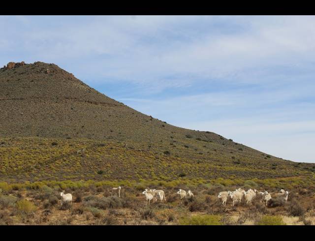 3,107HA FARM FOR SALE IN CALVINIA RURAL